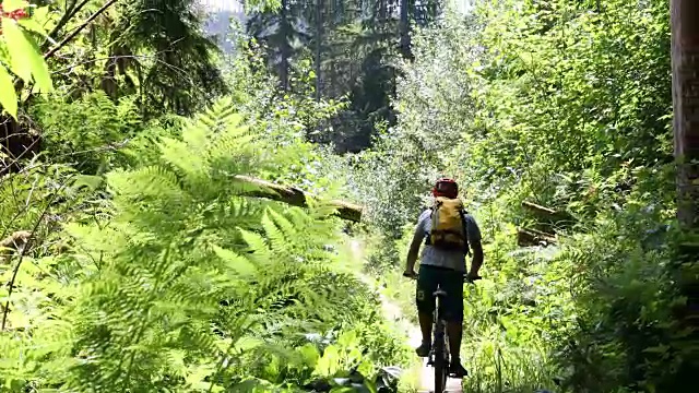 男性山地自行车沿着森林木板路骑视频下载