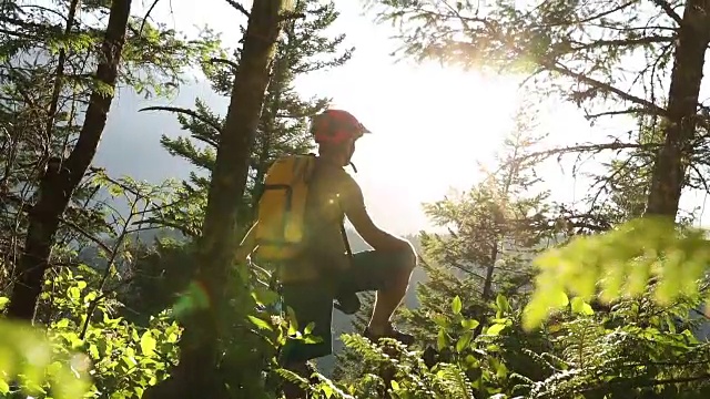 POV穿过森林，男性山地自行车欣赏山的日出视频素材