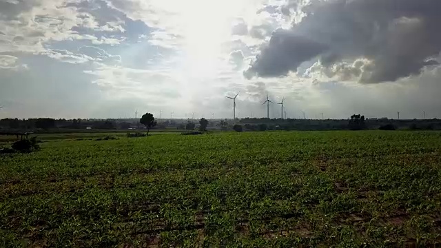 鸟瞰图的风力涡轮机视频素材