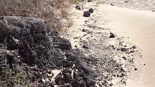 科拉雷霍沙滩-富埃特文图拉视频素材