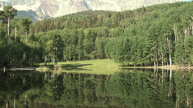 WS, TS, ZO，女牛仔沿着湖，山杨森林和背景，美国视频下载