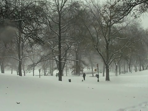 WS，人们走在中央公园的雪，纽约，美国视频素材