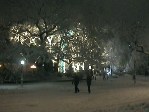 WS，人们走在中央公园的雪，照亮酒馆在绿色入口的背景，纽约市，美国视频素材