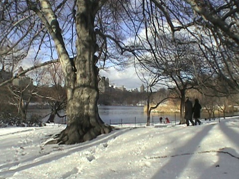 WS，人们走在中央公园的雪，纽约，美国视频素材