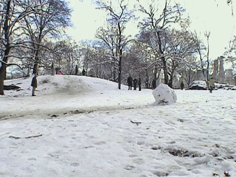 WS，美国纽约，人们从中央公园的雪山上滑下来视频下载