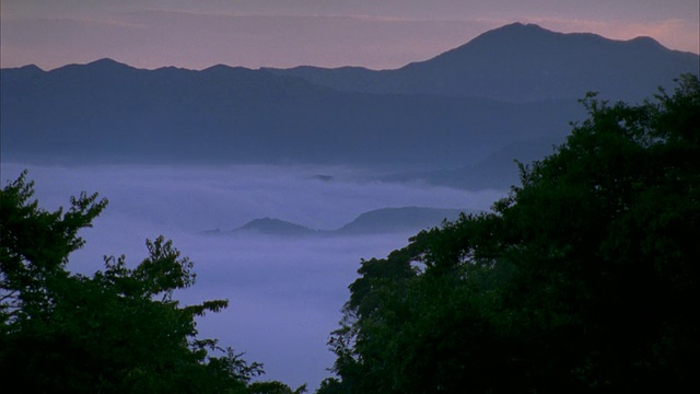 宽镜头的雾滚动在山谷与山的背景/ Satsumasendai，鹿儿岛县，日本视频素材