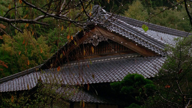 鹤射雨落在大名武士屋/日本视频下载