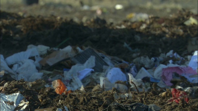 英国牛津郡阿德利垃圾填埋场的推土机车轮视频素材