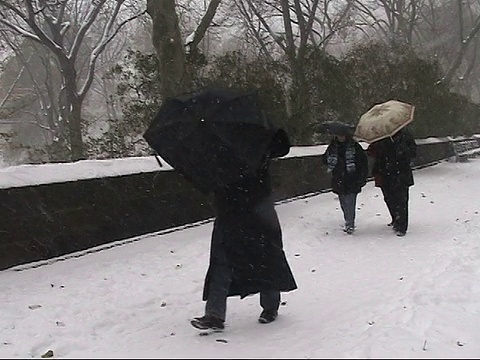 美国纽约，人们在暴风雪中走在人行道上视频素材