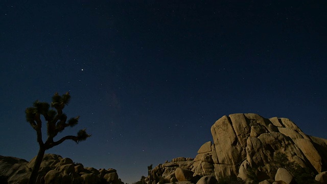 美国加州，夜间约书亚树国家公园上空的星星视频素材