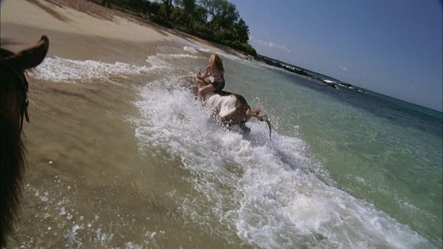 SLO MO, POV，跟随女人在海浪骑马，毛伊岛，夏威夷，美国视频素材