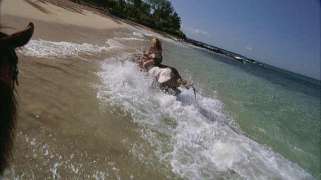 SLO MO, POV，跟随女人在海浪骑马，毛伊岛，夏威夷，美国视频素材