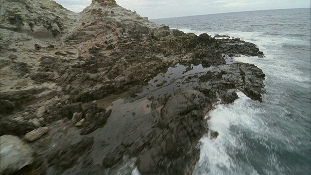 低空，沿岩岸飞行，毛伊岛，夏威夷，美国视频素材