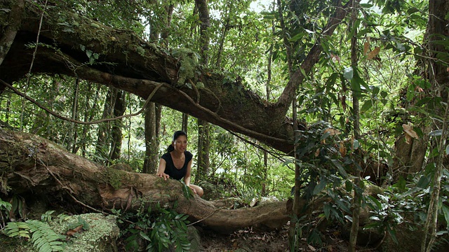 在热带雨林徒步旅行的妇女，莫斯曼，澳大利亚昆士兰视频素材