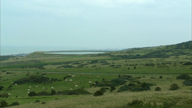 HA, WS, PAN, Opal Coast (Cote d'Opale)， Pas-de-Calais，法国视频素材