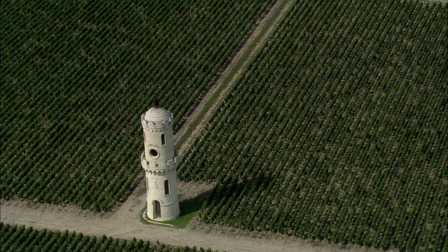 ZO, AERIAL, Chateau Latour l'Aspic葡萄园，波尔多，阿基坦，法国视频素材