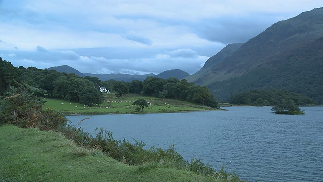 英国坎布里亚郡湖区国家公园，绵羊在克鲁姆莫克湖岸边的田野里吃草，背景是山脉视频素材