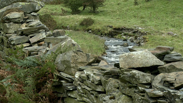 MS，山溪和石墙，Whinlatter Pass，湖区，坎布里亚，英格兰视频素材