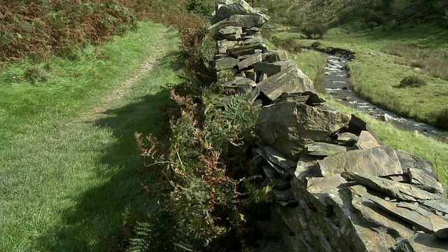 MS, PAN，山溪和石墙沿徒步小径，Whinlatter Pass，湖区，坎布里亚，英格兰视频素材