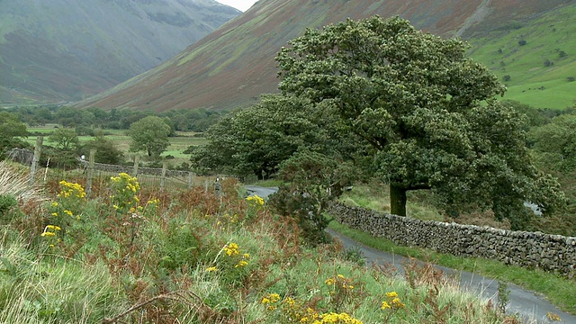 英国坎布里亚郡，沃斯特沃特附近山麓乡村公路的石墙视频素材