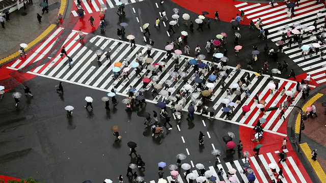 东京涩谷十字路口的人行横道上，高角度的交通和撑着雨伞的行人视频素材