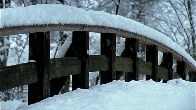 近距离观看日本福岛民卡公园桥上的降雪视频素材