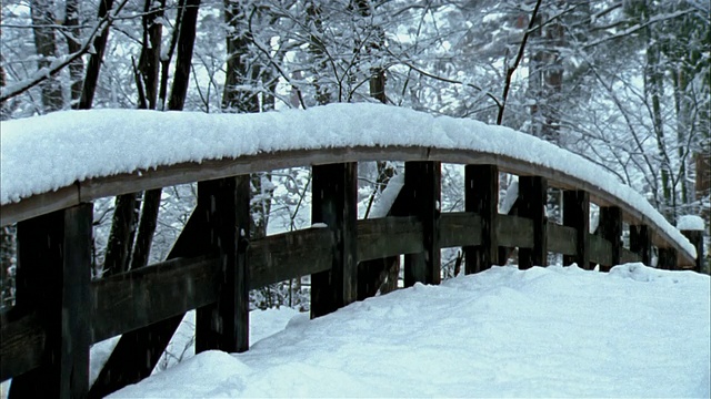 日本福岛民卡公园的一座桥上飘落着雪花视频素材