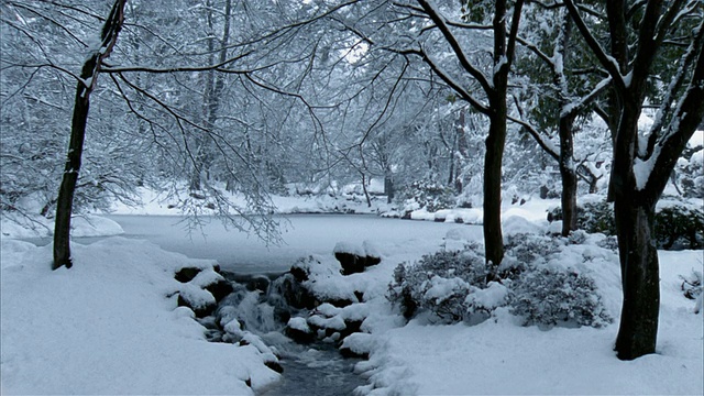 在日本福岛的民卡公园，在被雪覆盖的树林中流淌着雪花视频下载