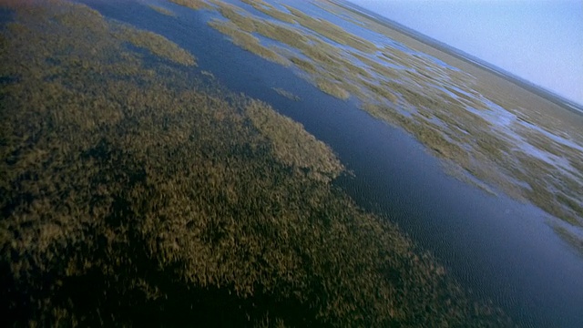 空中的河流沼泽湖/鸟群在水上飞行/委内瑞拉视频素材