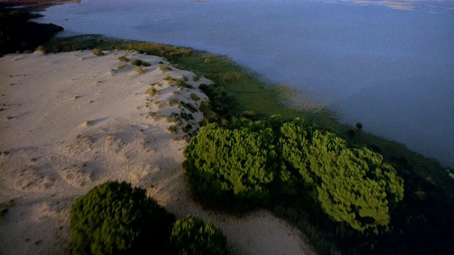 在沙地上空飞行/在沼泽水域上向上倾斜视频素材