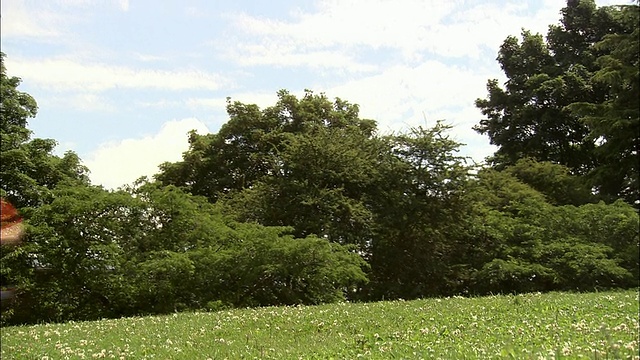 低角度广角拍摄一群孩子跑过田野/男孩在前面绊倒和跌倒+重新站起来视频素材