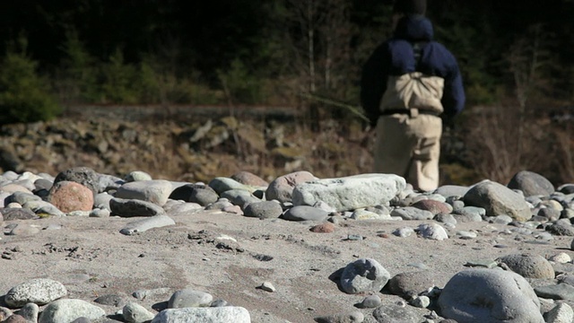 CU PAN SELECTIVE FOCUS男人在Cheakamus河钓鱼后视图，卵石在前景，Squamish，不列颠哥伦比亚省，加拿大视频素材