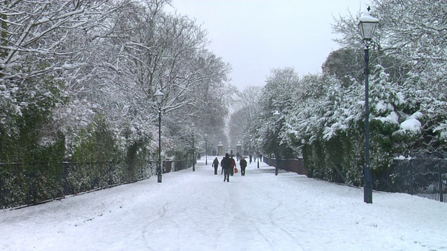 伦敦维多利亚公园，WS人走在白雪覆盖的街道上，两旁的树和灯柱被雪覆盖视频素材