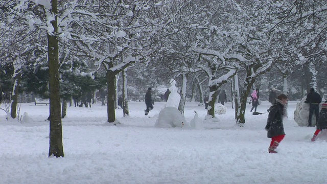 在伦敦维多利亚公园，成年人和孩子们在雪地里玩，扔雪球视频素材