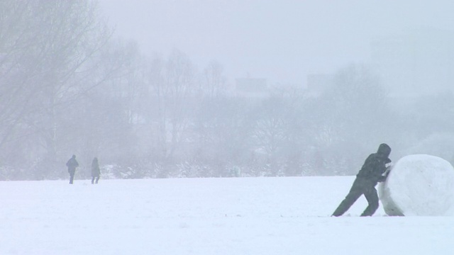 在伦敦维多利亚公园的雪地里，WS人推着大雪球视频素材