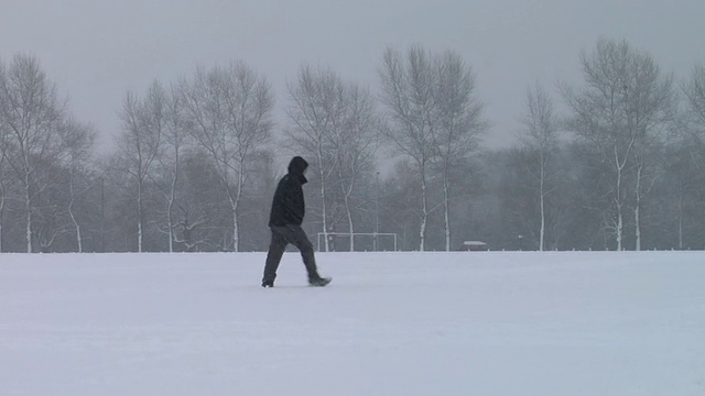 在伦敦白雪覆盖的维多利亚公园里，一名WS人正穿过一片广阔的田野视频素材