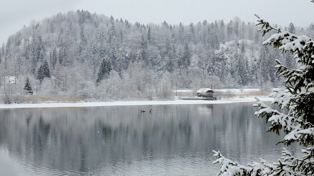 雪中的奥地利哈尔斯塔特湖视频素材