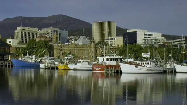 T/L WS PAN船系泊在港口和Mount Wellington，霍巴特，澳大利亚视频素材