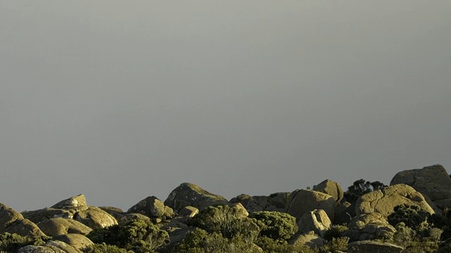 T/L MS TD云覆盖惠灵顿山山顶，霍巴特，澳大利亚视频素材