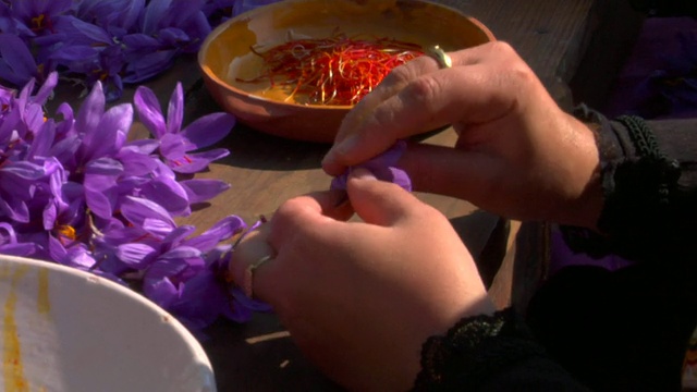 CU女人的手选择藏红花线，Consuegra，西班牙视频下载