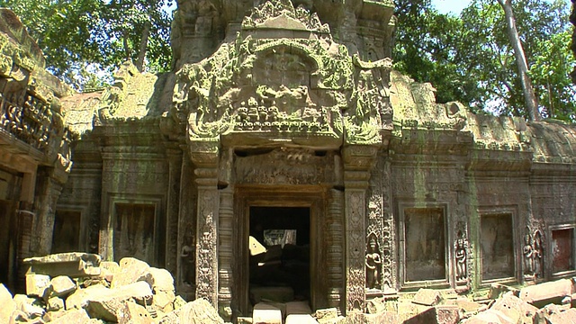 MS Ta Prohm temple，柬埔寨视频下载