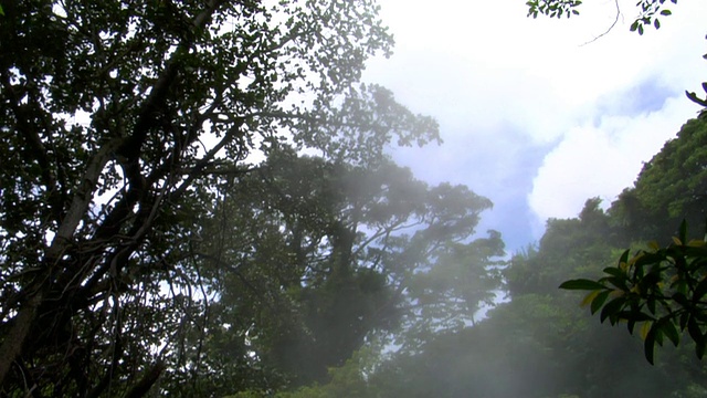 哥斯达黎加阿雷纳尔火山火山区沸腾的水视频下载