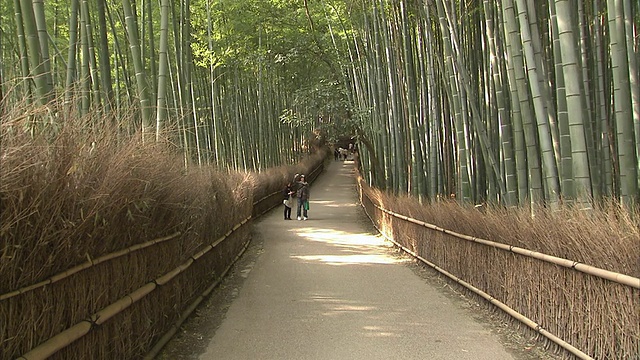 日本京都岚山，人们在竹林小径上视频素材