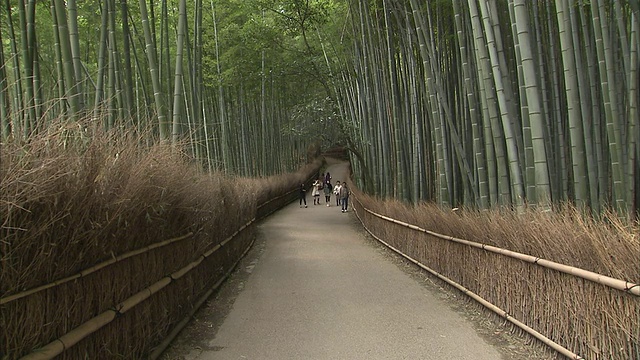 日本京都岚山竹林中的行人视频素材