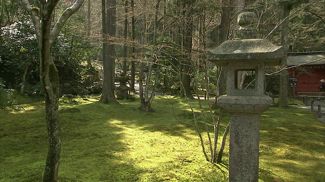 日本京都三禅寺青苔林中的石灯笼视频素材