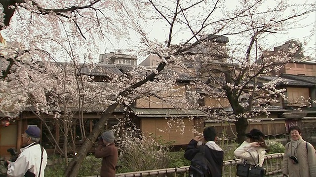 游客拍摄木制建筑，京都，祗园视频素材