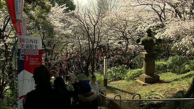 日本东京，樱花盛开的上野公园里挤满了人视频素材