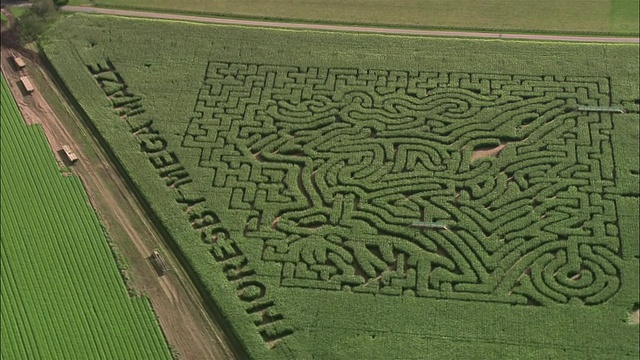 空中的Thoresby Mega Maze(由玉米制成)，Thoresby公园/诺丁汉郡，英国视频素材