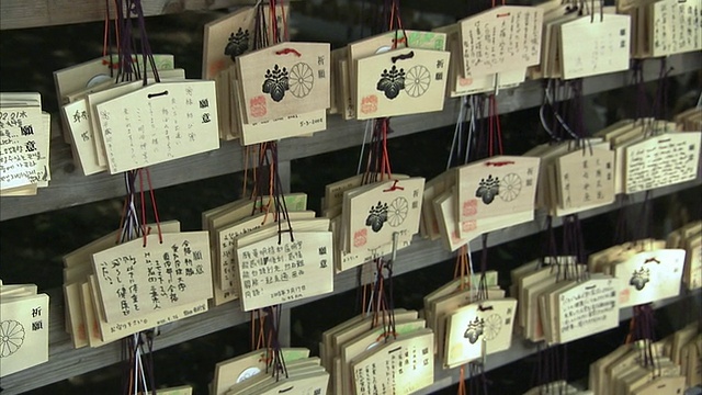 日本东京明治神社的祈祷树视频素材