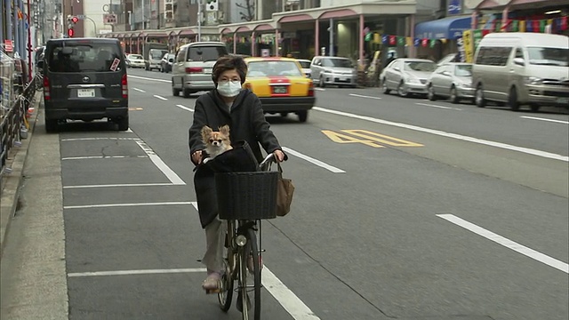 日本东京，骑自行车的女人带着口罩和篮子里的狗视频素材